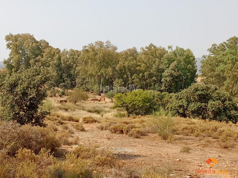 Foto a4a3a71b-c3f4-4dbc-9513-b23d8e411da9. Terreno residencial terreno en Oeste Mérida