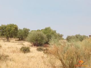 Wohngrundstück in Este. Méridaterreno
