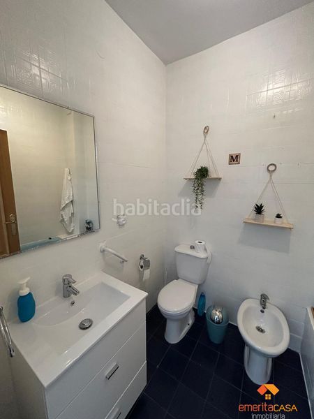 Foto e2918b42-0ce4-4010-abc1-2f06f2c793bf. Rent flat in Centro Mérida