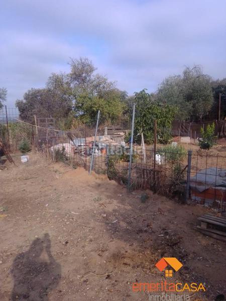 Foto 014f94ba-4e85-4100-8cb7-ad74522d0636. Masía finca rustica en Don Álvaro