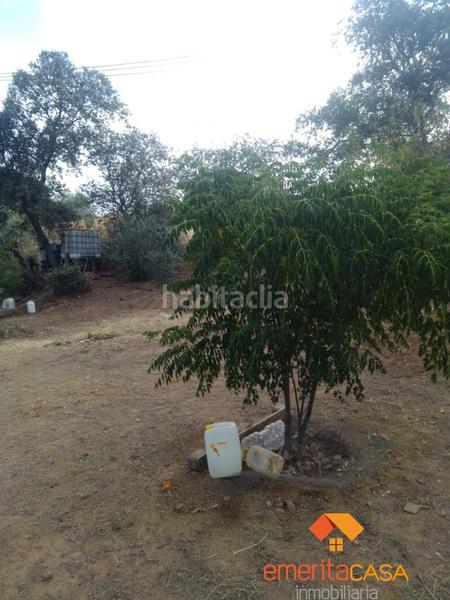 Foto 8f76207e-ee65-45d9-9173-7222a42c6c6b. Masía finca rustica en Don Álvaro