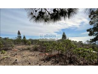 Terreno residencial  N/a. Terreno rústico a la venta en arico