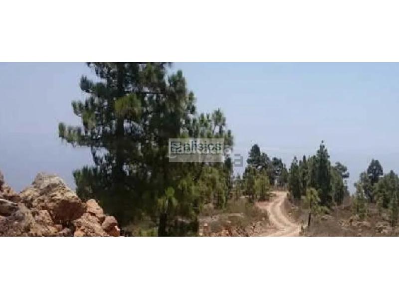 Foto ab71aec1-bc6d-4933-841d-5a4ec870d78a. Terreno residencial terreno rústico a la venta en Arico