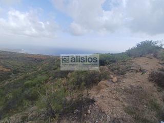 Fondo rustico en Poligono 8 paraje 381 la medida. Terreno rstico en guimar