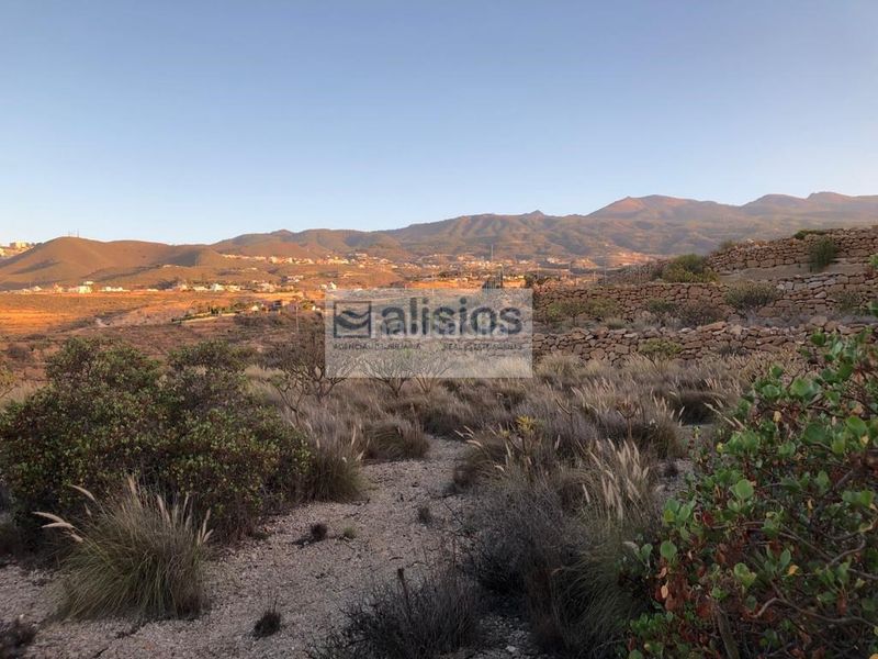 Foto 44c05615-edb0-47f4-9265-726e9403226e. Finca rústica a calle vivito 23 a El Desierto Granadilla de Abona