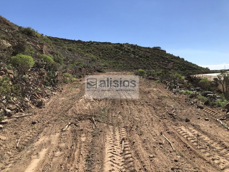Foto 4543dbe4-b3f3-4c14-b183-8a45e51c5452. Finca rústica a calle vivito 23 a El Desierto Granadilla de Abona