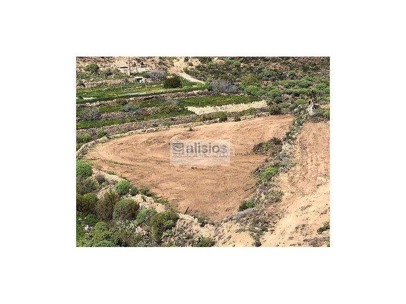 Foto 646c77da-9d88-4f1b-bb84-750f49ce49af. Finca rústica a calle vivito 23 a El Desierto Granadilla de Abona