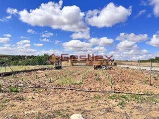 Terrain résidentiel  Petirrojo. En venta terreno rustico con luz y agua