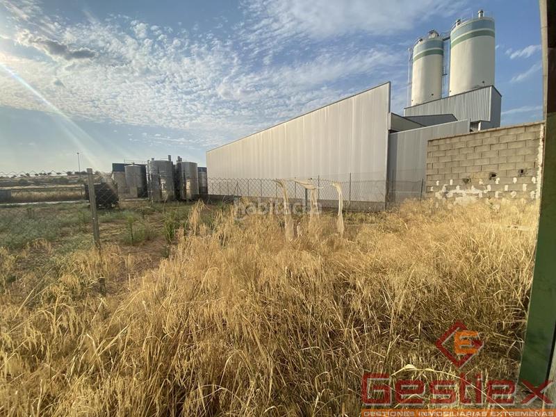 Foto 4e66829b-9246-4b09-b66e-9ea391a1a68a. Fabrikhalle in Almendralejo