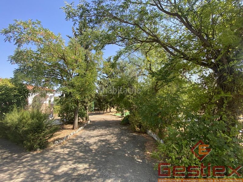 Foto 0c2d03b6-82af-4d97-98d4-a55dbd489f65. Casa a Almendralejo