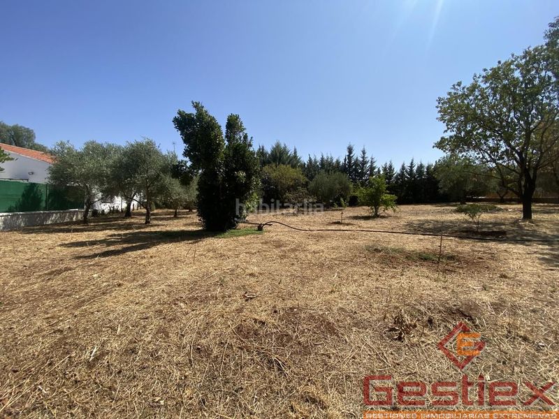Foto c36d840e-017d-4c70-9ad1-e303b90e1fc1. Casa a Almendralejo