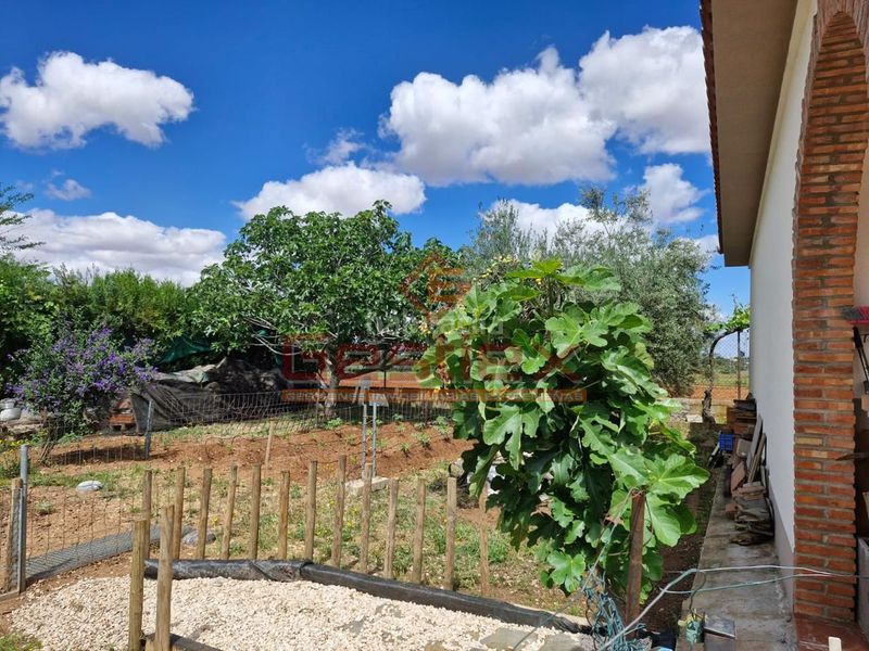 Foto 69f9773d-b306-43b2-8820-e80fedb0a022. Casa a Almendralejo