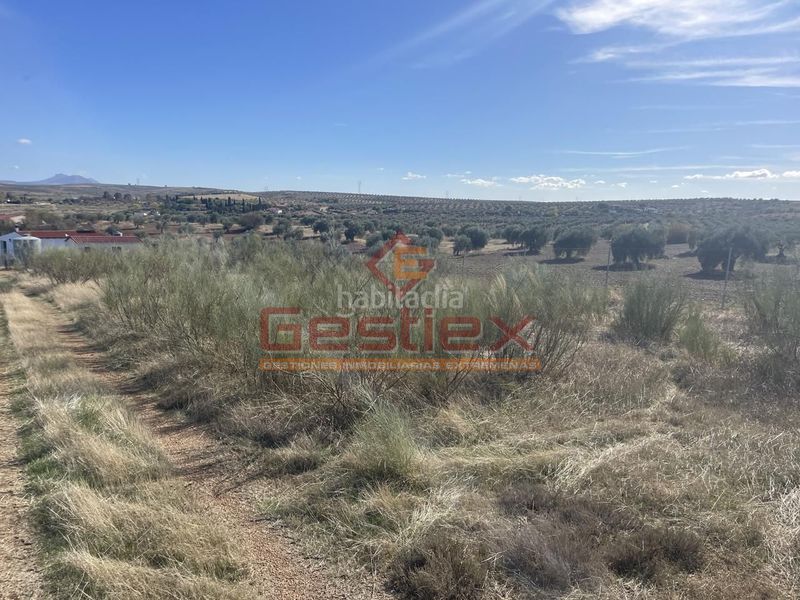 Foto 40378994-e9be-443b-9e9e-ef8cef799acd. Finca rústica a Alange