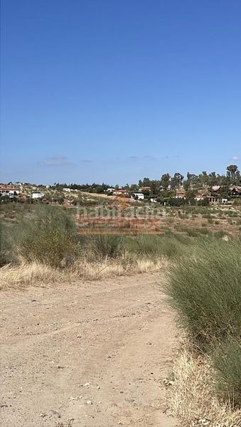 Foto 69bbe1d5-dc34-4af1-bfcc-5eb5b727e33b. Finca rústica a Alange