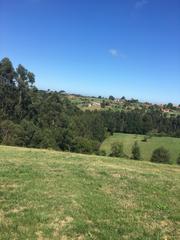 Landgut en Villaviciosa - Amandi. Finca en arroes