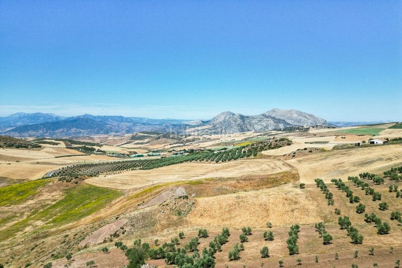 Foto 241075f5-d260-446b-be94-7cece32e114a. Chalet en Bobadilla - Bobadilla Estación - La Joya Antequera