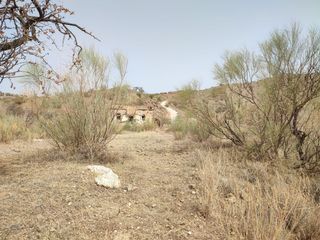 Residential Plot in Sexmo