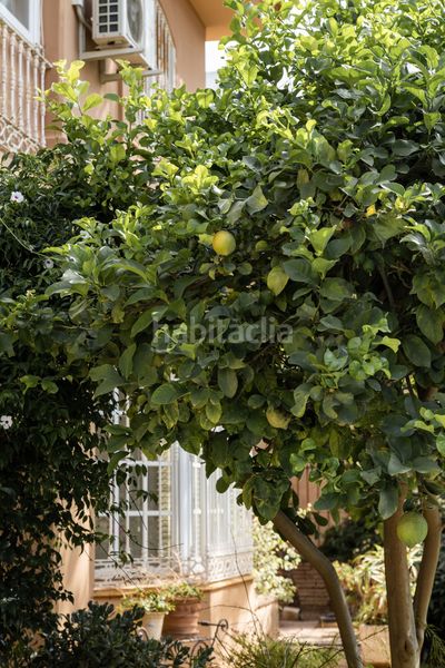 Foto 0bb04f07-9169-45fa-997b-1d91c47d5c57. Xalet a campo de Mijas Mijas