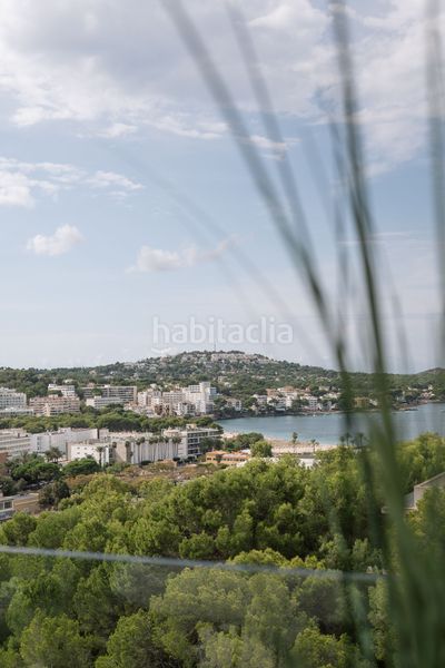 Foto b7e825aa-14bb-4990-b47f-18045ecea84b. Apartamento en Costa de la Calma Calvià