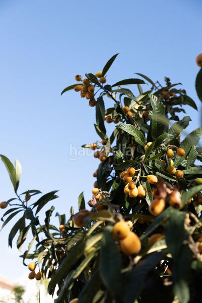 Foto 5366f827-1434-4a5b-a917-d07d8f38fda3. Chalet en San Pedro de Alcántara Pueblo Marbella