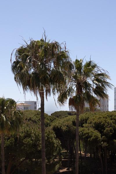 Foto 7ca753c6-975f-4dc4-b664-39ba9c13db4b. Apartament a Calahonda Mijas
