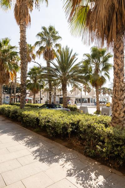 Foto fee7e4a8-13db-4e02-b57c-4e5e7bd383a8. Apartamento en La Malagueta - Monte Sancha Málaga