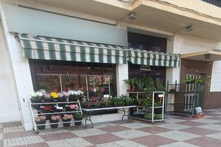 Business premise in Plaza de Toros