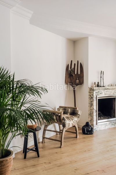 Foto 3ea81b9c-34c3-4bc1-8249-6f5354fdd8c2. Apartament a El Terreno Palma de Mallorca