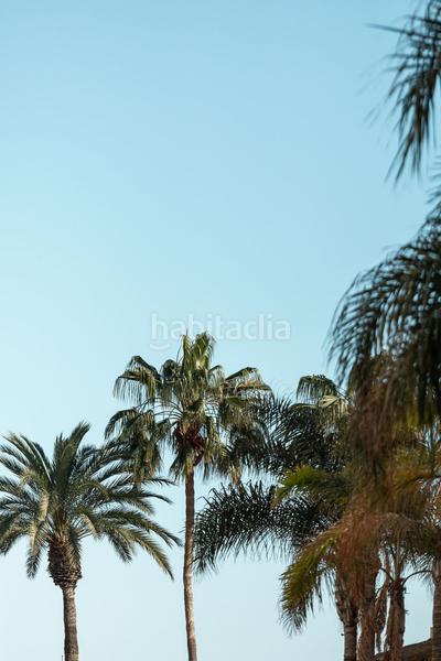 Foto 0bce8031-943d-449a-a3f1-f251dafab523. Attique dans El Bajondillo Torremolinos