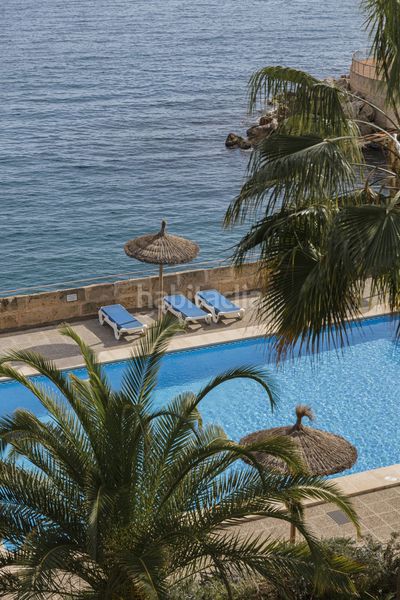 Foto 1ba72b9f-44aa-4d19-9657-ea5cd7271f87. Apartament a Cas Català-Illetes Calvià
