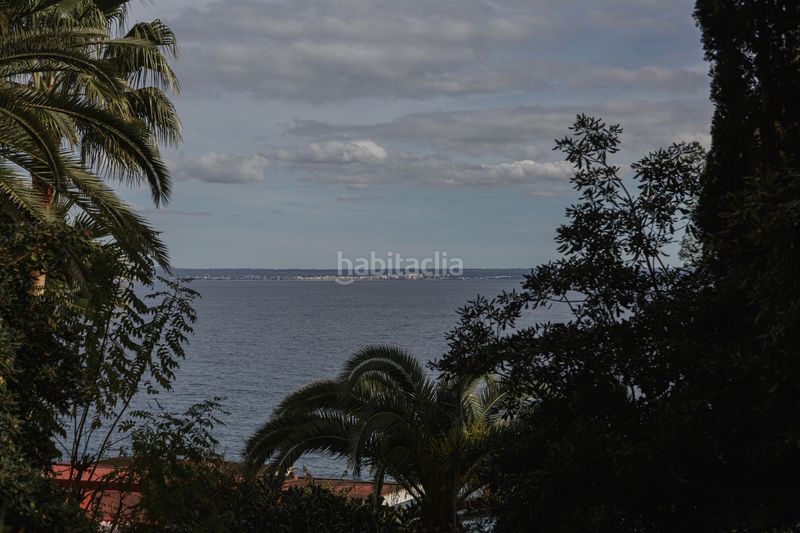 Foto 36c2e5fa-f9e8-4a70-aa15-1878f3d7d79a. Apartament a Cas Català-Illetes Calvià