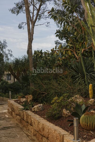 Foto 813b67b7-2a1d-402f-8592-c0e0f4507556. Apartament a Cas Català-Illetes Calvià