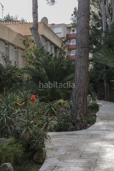 Foto 859ece98-d00b-4f9f-8344-aa976da84a9f. Apartament a Cas Català-Illetes Calvià