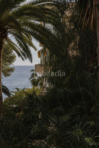 Foto c88d39ce-6bfa-4eaf-b042-4037957bedd8. Apartament a Cas Català-Illetes Calvià