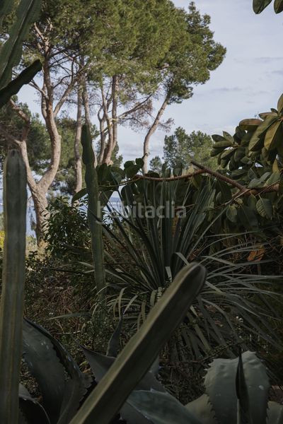 Foto f5f25b17-ea85-4e63-aee0-e99d97700ff4. Apartament a Cas Català-Illetes Calvià