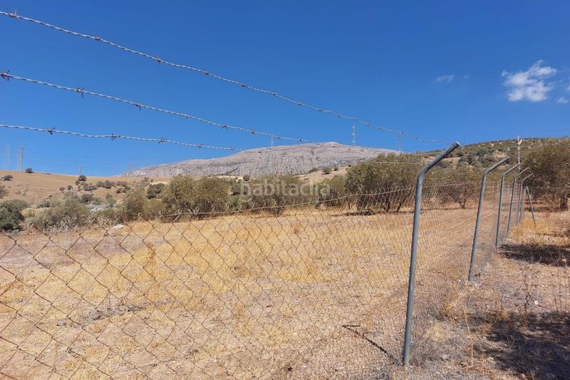 Foto ecef7e30-4c9c-4ad7-bdae-36fbfbf12acb. Terreno residencial en Álora