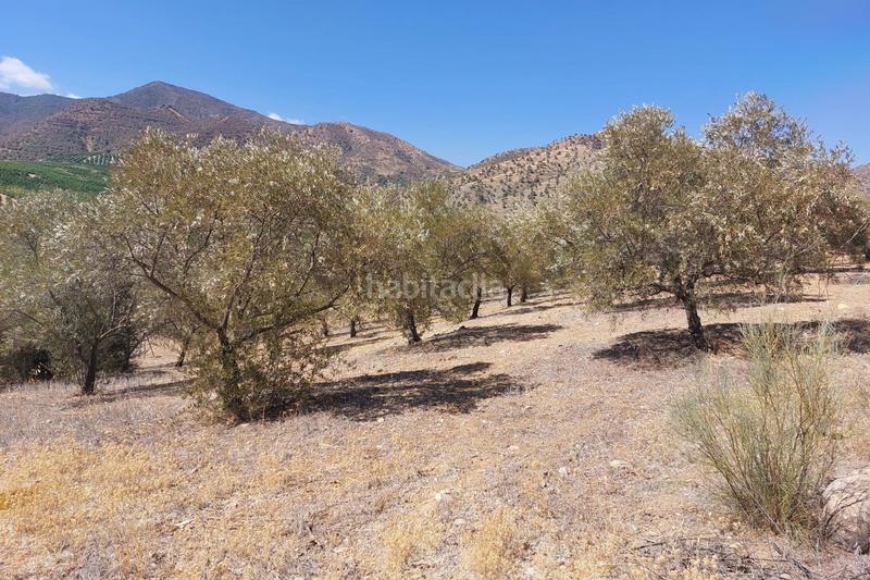 Foto 52a48bf6-a7e5-45e3-bd24-bc76cc88caff. Terreno residenziale in Álora