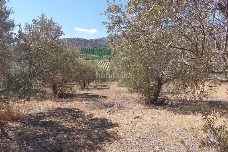 Foto 67580fd9-ba6b-4b77-bfaf-06e0f7f90a05. Terreno residenziale in Álora