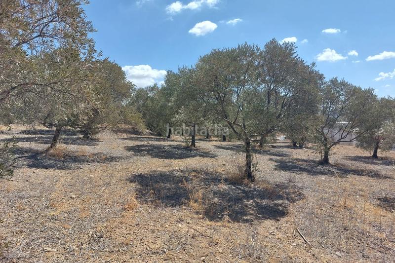 Foto 707e28c4-d528-41b6-ac57-cc0a6245d976. Terreno residenziale in Álora