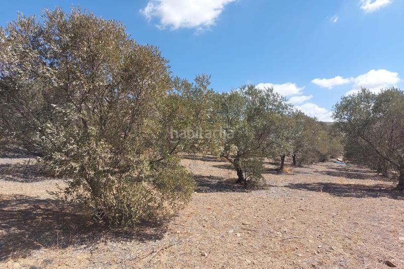 Foto 8ae73834-288f-4934-a22a-8bf9ae16a884. Terreno residenziale in Álora