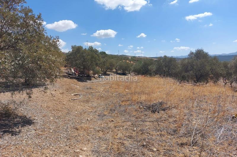 Foto a25bf741-89b8-4b24-a33c-d404896efefb. Terreno residenziale in Álora