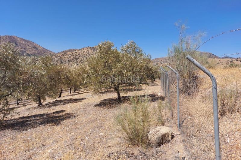 Foto d8dc0b61-0f18-4f99-9e54-5bf0365ca2ec. Terreno residenziale in Álora