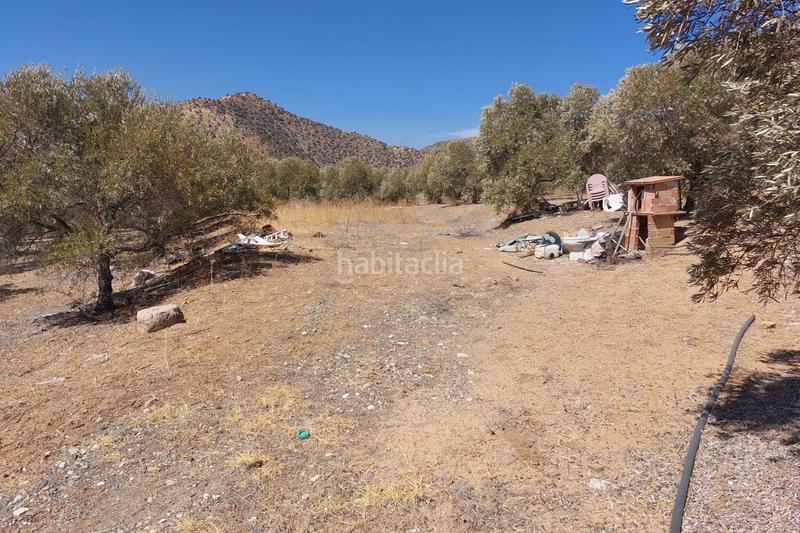 Foto da60e685-5935-48b4-abaf-c5e0100df867. Terreno residenziale in Álora