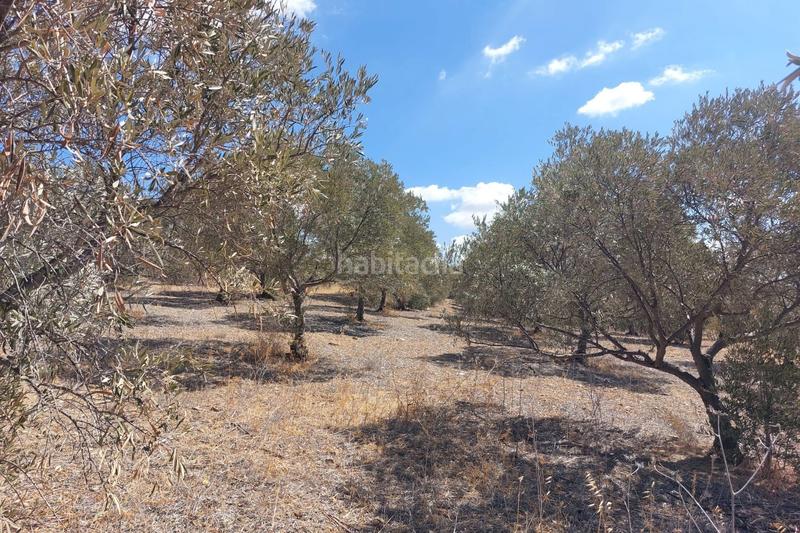 Foto 03300491-7738-444b-884f-9d0fed2b94f8. Wohngrundstück in Álora