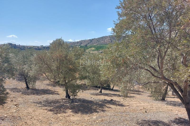 Foto 22bca24f-b7f7-4df5-95ed-69fe4e3f76e8. Wohngrundstück in Álora