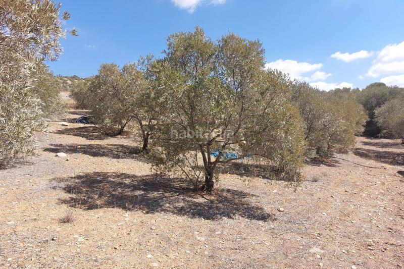 Foto 73d7f856-485f-4a20-8d3c-4a54a14b6b96. Wohngrundstück in Álora