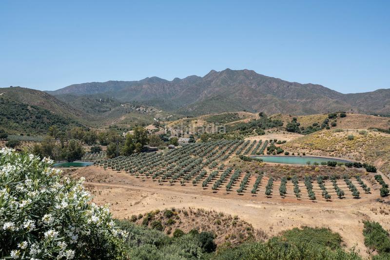 Foto 41a87a1c-4d2e-4e84-ae3d-968979407d04. Casale in Valtocado - La Alquería - La Atalaya Mijas