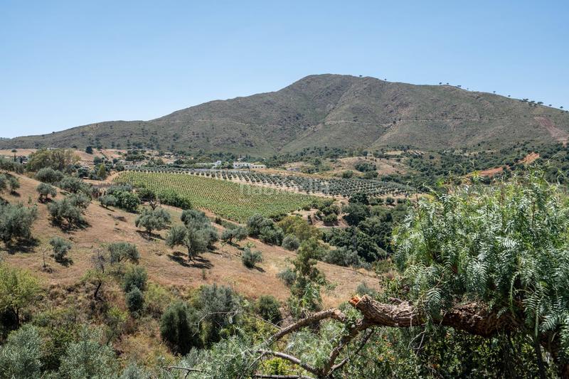 Foto 887cff1b-fc61-4689-a294-eaf807466f8a. Masia a Valtocado - La Alquería - La Atalaya Mijas