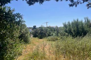 Residential Plot in Marbesa