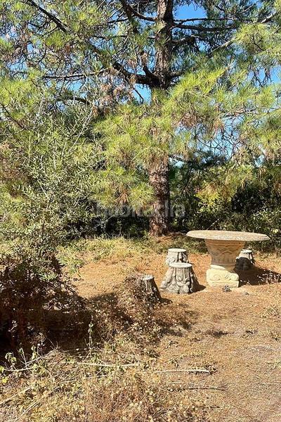 Foto 99c31ea5-0799-4ea6-8e8b-62fec8401dc5. Chalet in Valdeolletas - Las Cancelas - Xarblanca Marbella